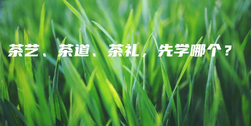 茶藝、茶道、茶禮，先學(xué)哪個(gè)？插圖
