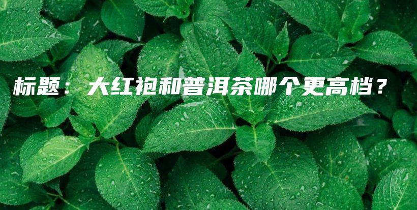 標題：大紅袍和普洱茶哪個更高檔？插圖