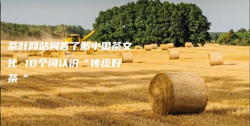 茶葉網(wǎng)站問答了解中國茶文化 10個(gè)詞認(rèn)識“傳統(tǒng)好茶“插圖
