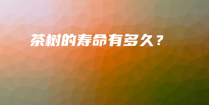 茶樹的壽命有多久？插圖