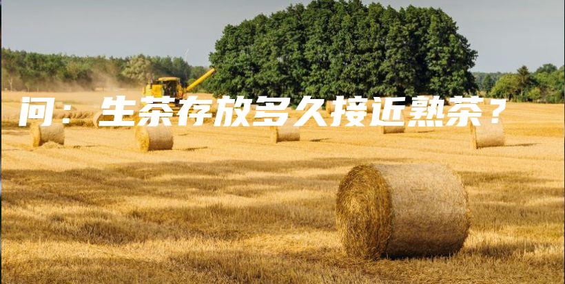問：生茶存放多久接近熟茶？插圖