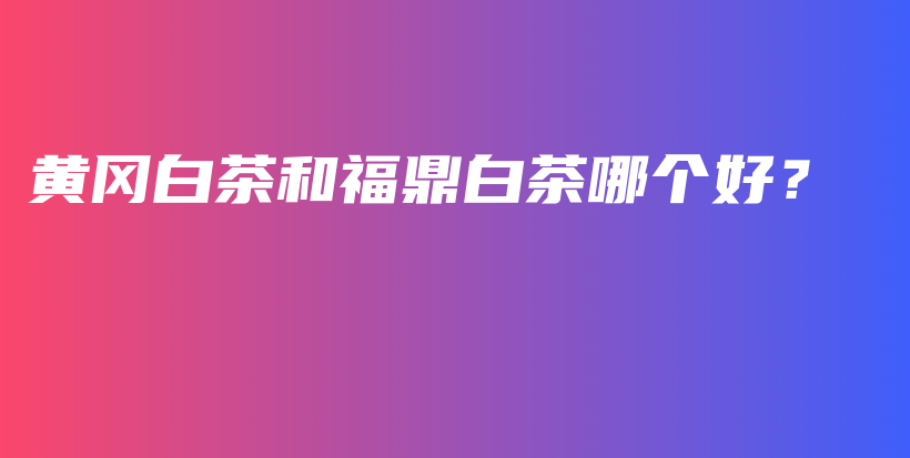 黃岡白茶和福鼎白茶哪個好？插圖
