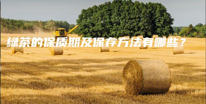 綠茶的保質(zhì)期及保存方法有哪些？插圖