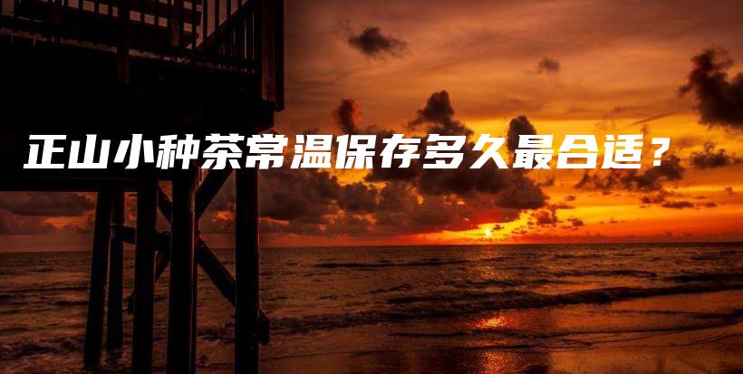 正山小種茶常溫保存多久最合適？插圖