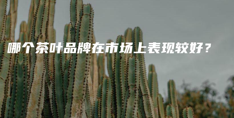 哪個茶葉品牌在市場上表現較好？插圖