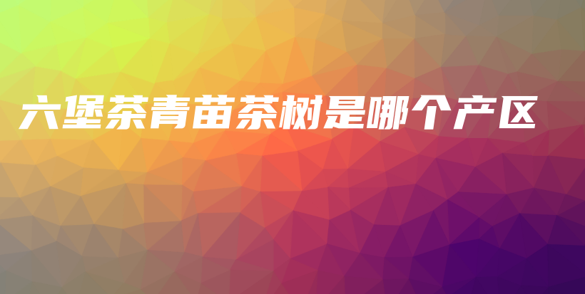 六堡茶青苗茶樹是哪個產(chǎn)區(qū)插圖