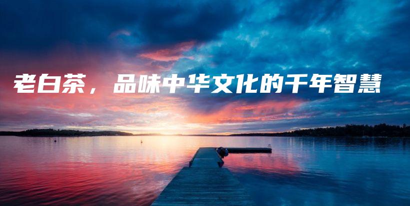 老白茶，品味中華文化的千年智慧插圖