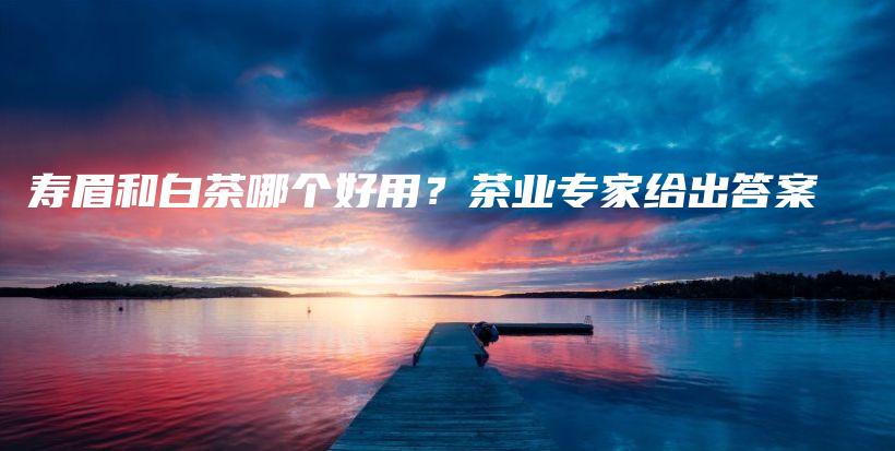 壽眉和白茶哪個好用？茶業(yè)專家給出答案插圖