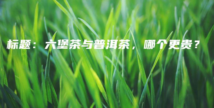 標(biāo)題：六堡茶與普洱茶，哪個(gè)更貴？插圖