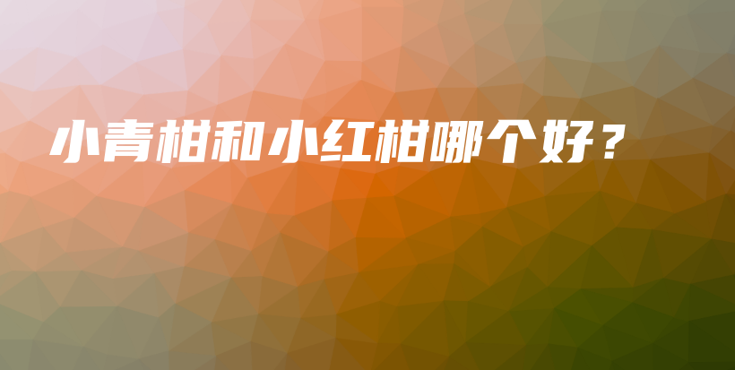 小青柑和小紅柑哪個(gè)好？插圖