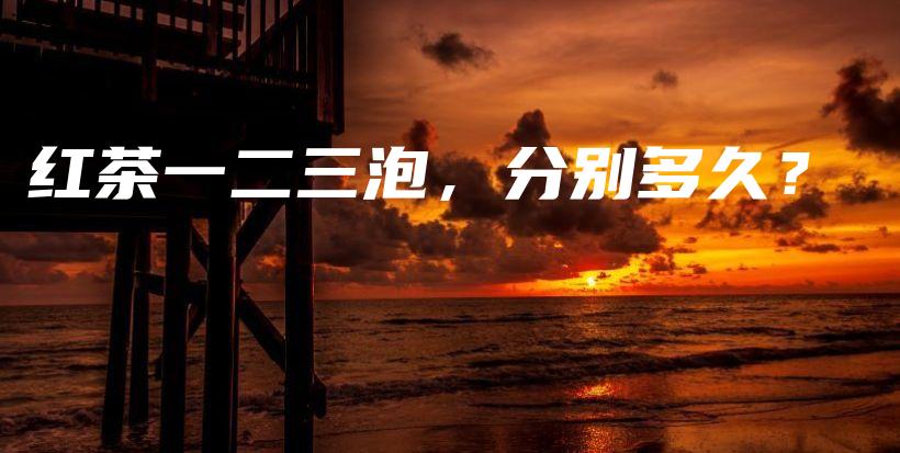 紅茶一二三泡，分別多久？插圖