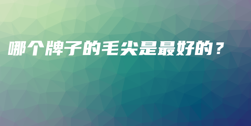 哪個(gè)牌子的毛尖是最好的？插圖