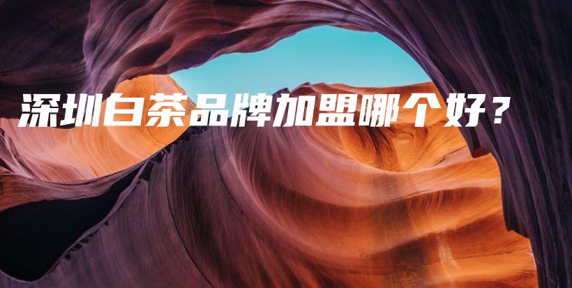 深圳白茶品牌加盟哪個好？插圖