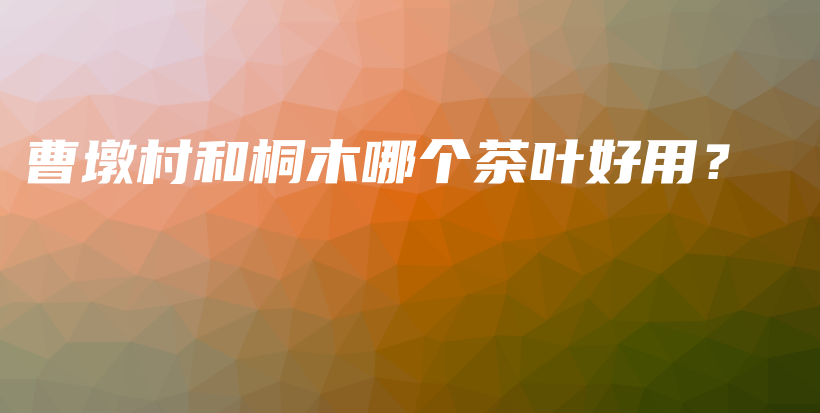 曹墩村和桐木哪個茶葉好用？插圖