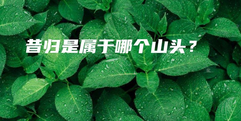 昔歸是屬于哪個山頭？插圖