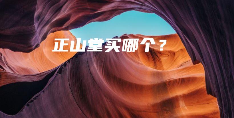 正山堂買哪個？插圖