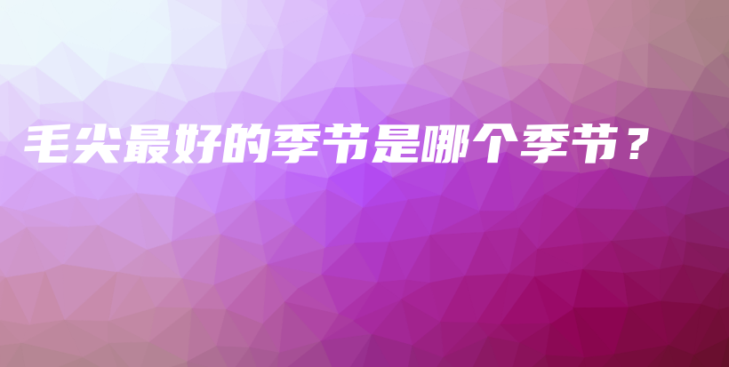 毛尖最好的季節(jié)是哪個季節(jié)？插圖