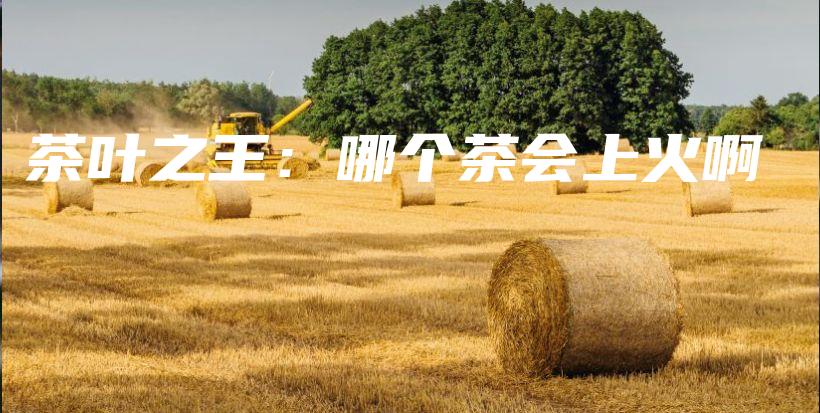 茶葉之王：哪個(gè)茶會(huì)上火啊插圖