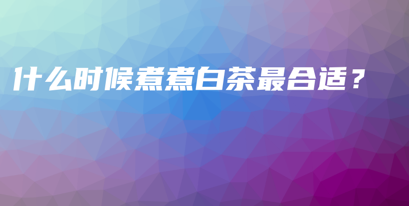 什么時(shí)候煮煮白茶最合適？插圖