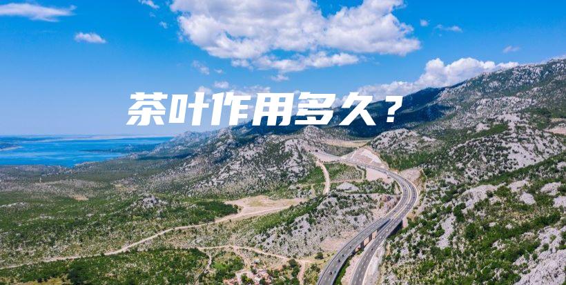 茶葉作用多久？插圖