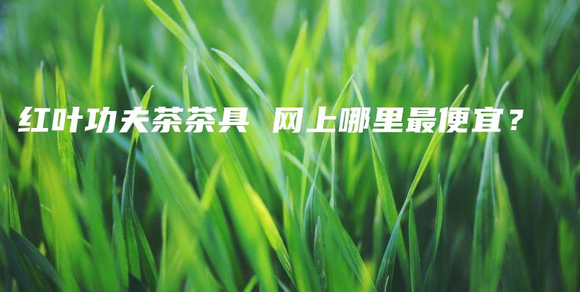 紅葉功夫茶茶具 網(wǎng)上哪里最便宜？插圖