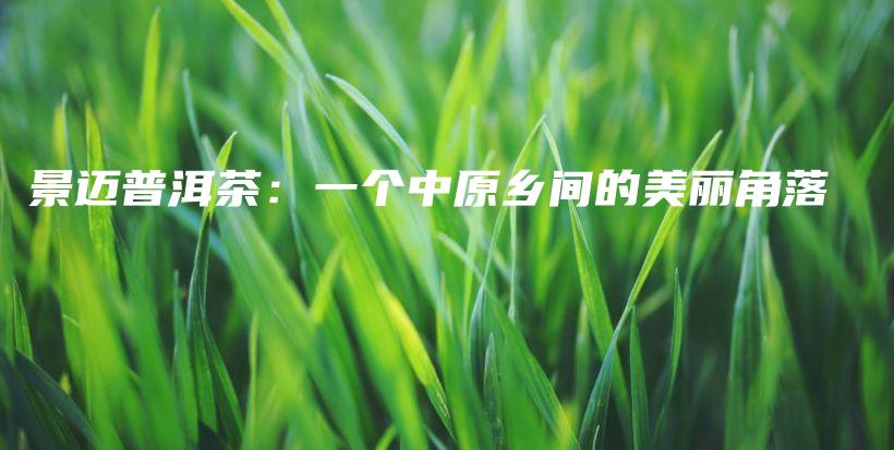 景邁普洱茶：一個中原鄉(xiāng)間的美麗角落插圖