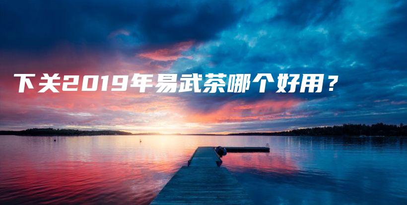 下關(guān)2019年易武茶哪個(gè)好用？插圖