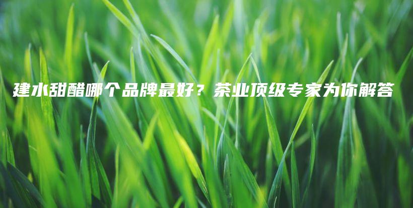 建水甜醋哪個品牌最好？茶業(yè)頂級專家為你解答插圖