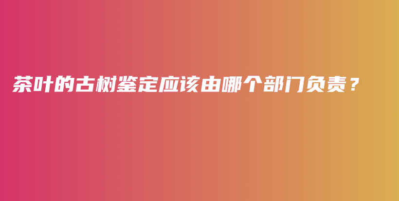 茶葉的古樹(shù)鑒定應(yīng)該由哪個(gè)部門負(fù)責(zé)？插圖