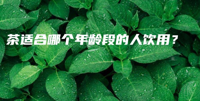 茶適合哪個年齡段的人飲用？插圖