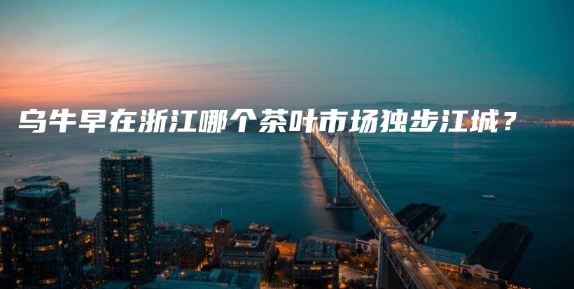 烏牛早在浙江哪個(gè)茶葉市場(chǎng)獨(dú)步江城？插圖
