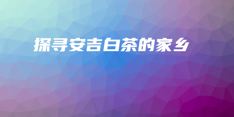 探尋安吉白茶的家鄉(xiāng)插圖