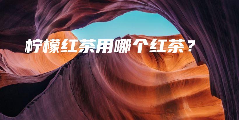 檸檬紅茶用哪個(gè)紅茶？插圖