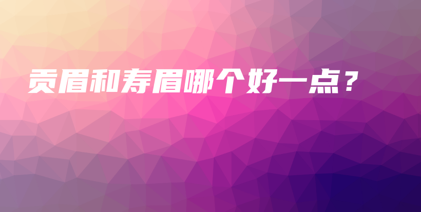 貢眉和壽眉哪個好一點？插圖