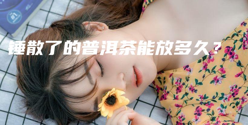 錘散了的普洱茶能放多久？插圖
