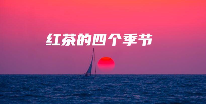 紅茶的四個(gè)季節(jié)插圖