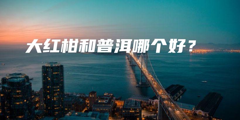 大紅柑和普洱哪個(gè)好？插圖