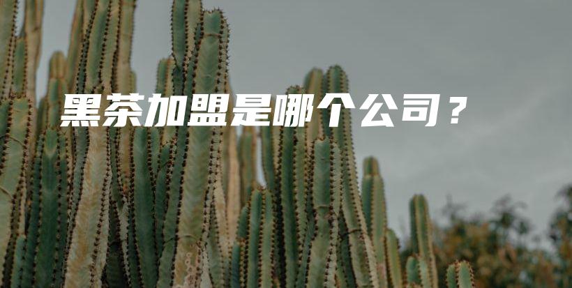 黑茶加盟是哪個公司？插圖