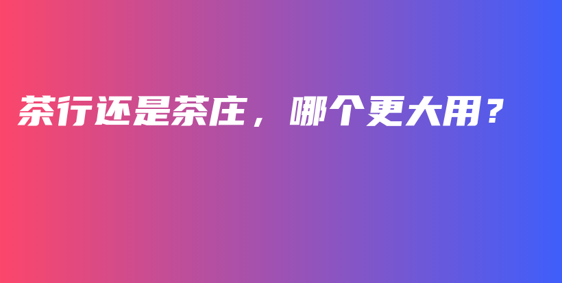 茶行還是茶莊，哪個(gè)更大用？插圖