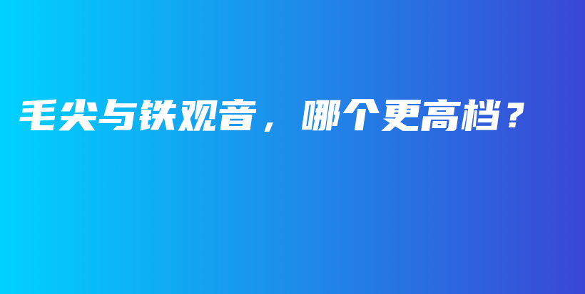 毛尖與鐵觀音，哪個更高檔？插圖