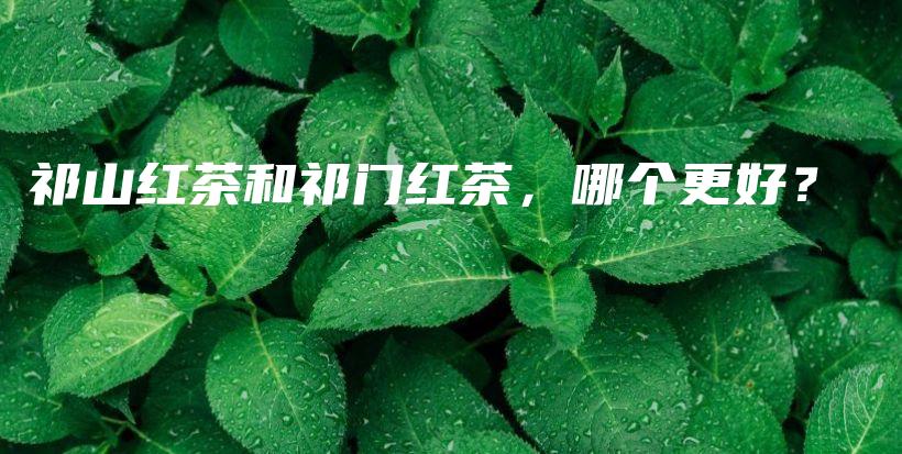 祁山紅茶和祁門紅茶，哪個更好？插圖