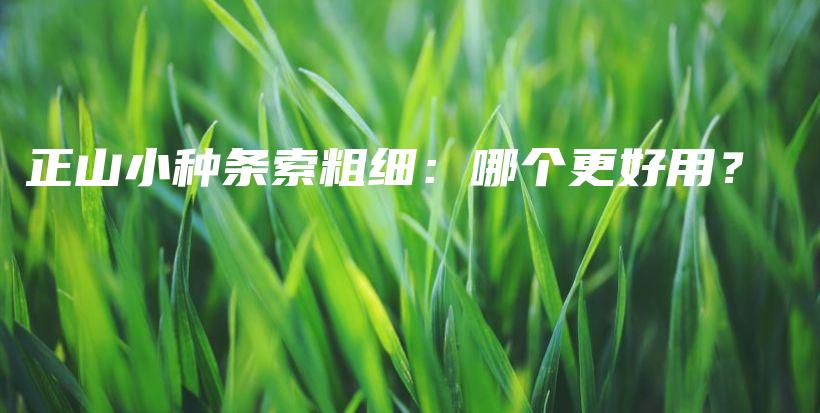 正山小種條索粗細：哪個更好用？插圖
