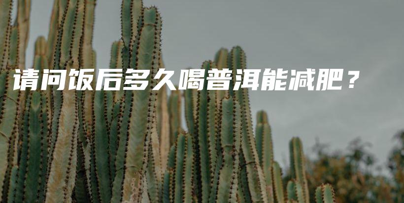 請問飯后多久喝普洱能減肥？插圖