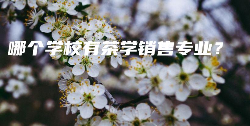哪個(gè)學(xué)校有茶學(xué)銷售專業(yè)？插圖