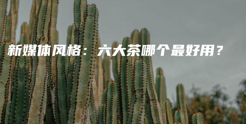 新媒體風格：六大茶哪個最好用？插圖