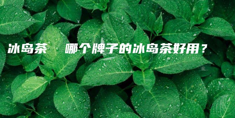 冰島茶  哪個(gè)牌子的冰島茶好用？插圖