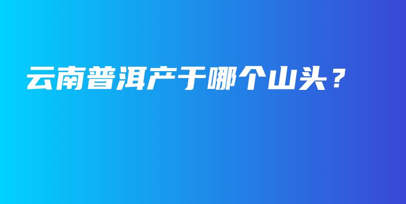 云南普洱產(chǎn)于哪個(gè)山頭？插圖
