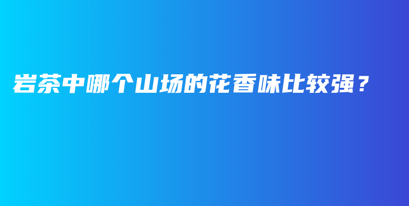 巖茶中哪個山場的花香味比較強？插圖