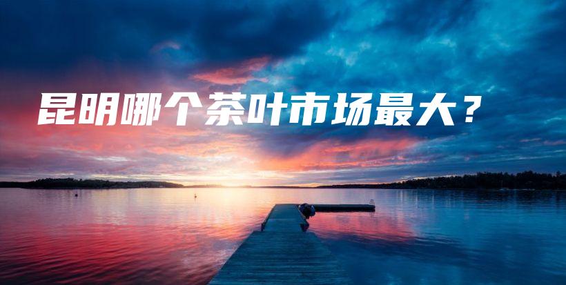 昆明哪個茶葉市場最大？插圖