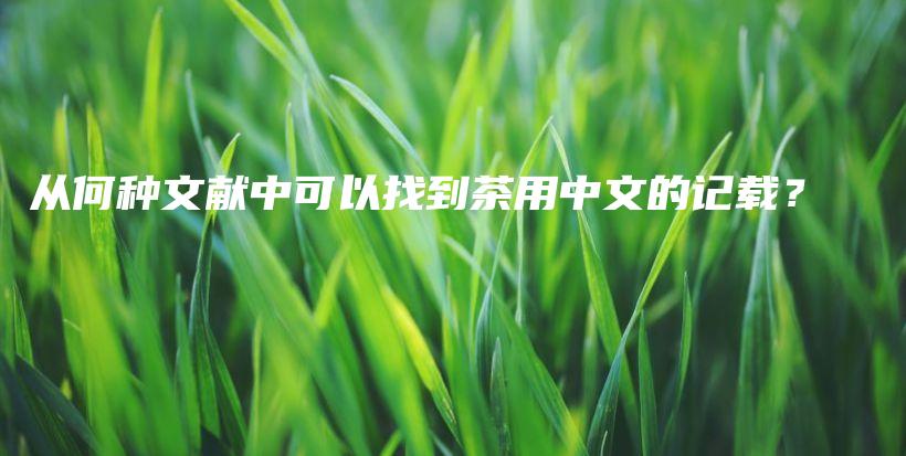 從何種文獻(xiàn)中可以找到茶用中文的記載？插圖
